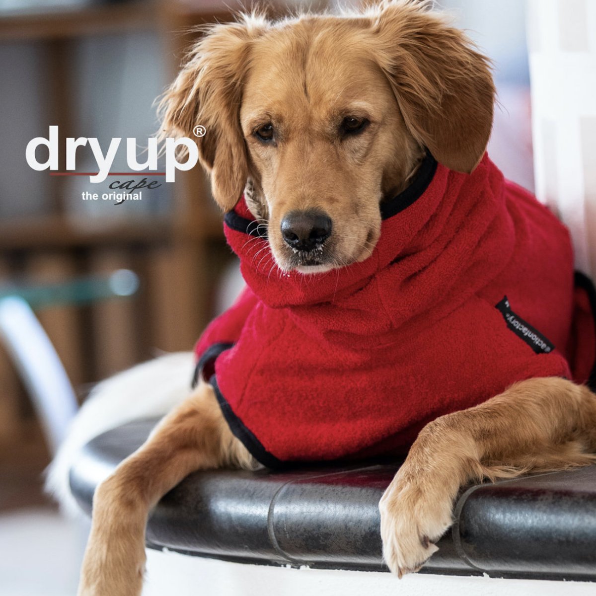 Dryup Cape RED PEPPER – Bild 2